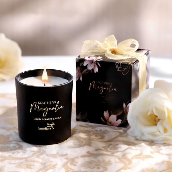 The Magnolia Glow