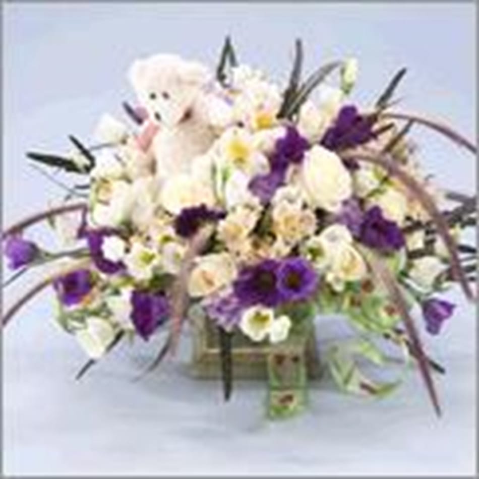 Baby boy girl arrangement with teddy bear