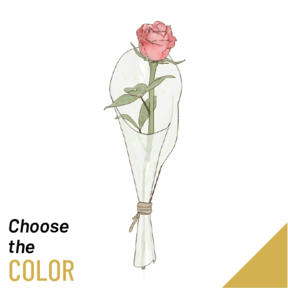 Single Rose: Order Flowers Online | Interflora India | ID1349580