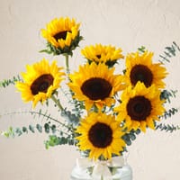 The Sunflower Edit: Order Birthday Flowers Online | Interflora