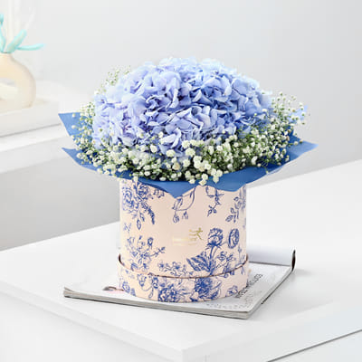 Hydrangea Flower Bouquets Online | Buy Hydrangea Bouquet – Interflora