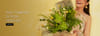 Congrats Flowers