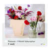 Premium Flower susbscription