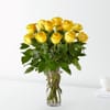 12 Long Stem Yellow Rose Bouquet