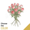 12 medium stemmed roses Online