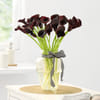 Buy 20 Calla Lily Luxe Vase Arrangement