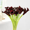 Shop 20 Calla Lily Luxe Vase Arrangement
