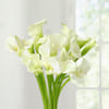 Buy 20 White Calla Lilies in Glass Vase