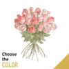 24 roses Online