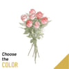 7 roses medium stemmed Online