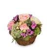 A Basket full of Poetry with Roses Online