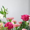 Gift A Blushing Ode