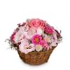 A Flower Greeting in Delicate Colors Online