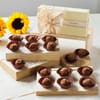Gift A Grand Sun-Drenched Affair