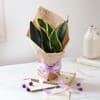 Shop A Mentor's Bloom