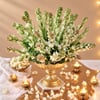 Gift A Tradition of Tuberose