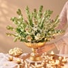 Buy A Tradition of Tuberose