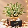 Shop A Tradition of Tuberose