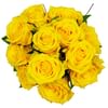Affection Yellow Roses Online