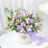 Gift Alstroemeria Allure