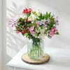 Alstroemeria Dreams Online