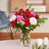 Amore assoluto Online