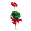 Anthurium Online