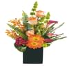Arrangement Mixed Cut Flowers Online