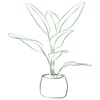 Arrangement of Plants Online