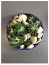 Arrangement of Plants Online