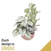 Arrangement of Plants in a Bowl Online