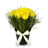 Arrangement of Tulips Spring-Hit Online
