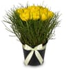 Arrangement of Tulips Spring-Hit Online