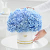 Buy Aurora Blue Hydrangea Arrangement