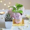 Shop Auspicious Aura