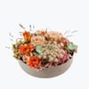 Autumn Bowl 240425 Online