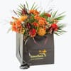 Autumn Bright Large 240406 Online