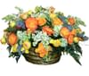 Autumn Etude Online