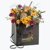 Autumn Warm Large 240403 Online