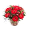 Basket Arrangement of Gerbera Daisies Online
