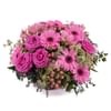 Basket of Pink Gerbera Daisies Online