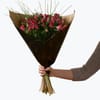 Beautiful Purple Alstromeria 242639 Online