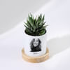 Beloved Memories - Haworthia Succulent With Pot - Personalized Online