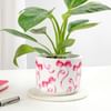 Shop Birkin Elegance In Ribbon Charm Pot