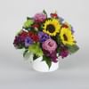 Blossom Delight Online