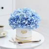 Gift Blue Beauty Flower Box