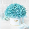 Gift Blue Gypsophila Luxe Arrangement