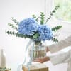 Buy Blue Harmony Hydrangea Arrangement