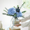 Blue Hues And Fragrance Of Sophistication Online