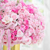 Shop Blush Pink 205 Roses Arrangement